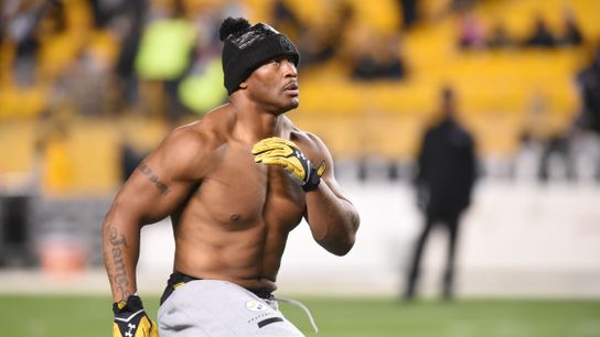 What does James Harrison bring to New England at this stage of his career? taken at BSJ Headquarters (Patriots)