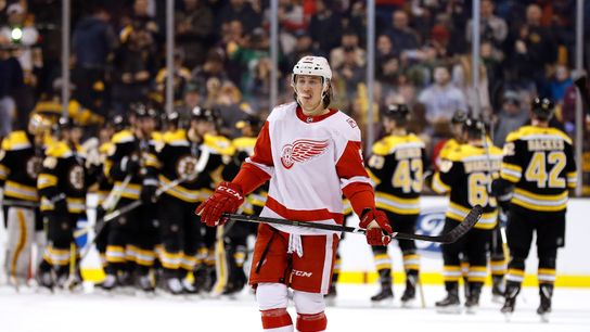 BSJ Game Report: Bruins 3, Red Wings 1 -- Break arrives at the perfect time taken at TD Garden (Bruins)