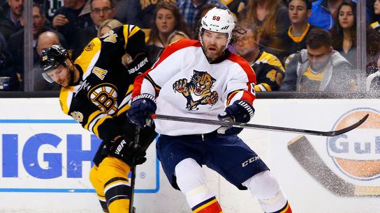 Krejci on Jagr signing one-year deal with Flames: 'It's pretty impressive' taken at Warrior Ice Arena (Bruins)