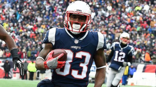 BSJ Oral History: How Dion Lewis went from forgotten man to offensive centerpiece taken at Mall of America (Patriots)