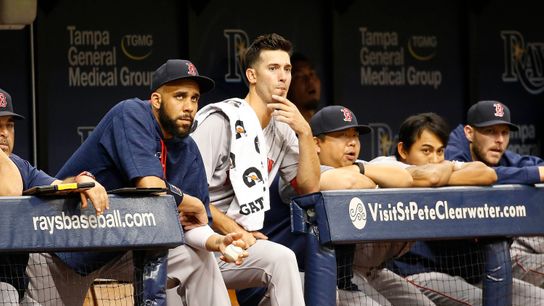 Column: Red Sox get what they deserve - a monetary slap on the wrist taken at Tropicana Field (Red Sox)