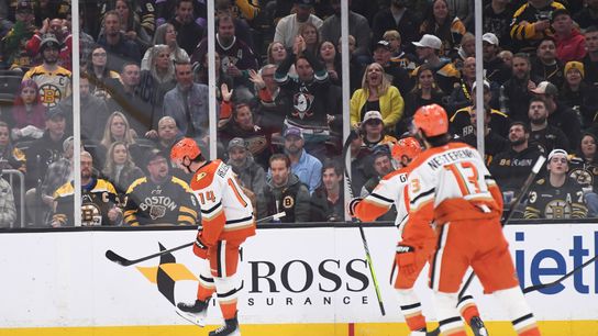 Final: Ducks 7, Bruins 5 - Ducks score seven goals, Bruins lose sixth-straight game taken at BSJ Headquarters (Bruins)